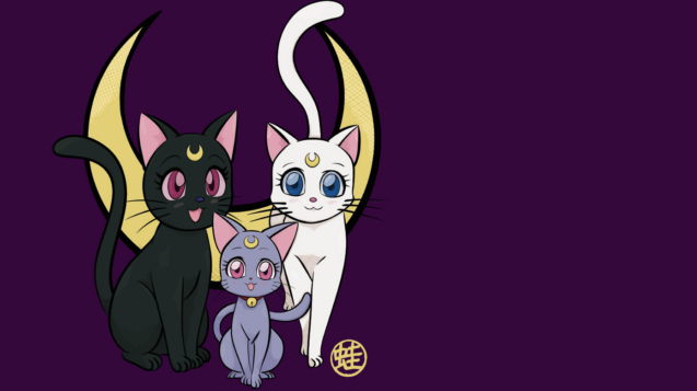 gatos-sailor-moon-expediente-d